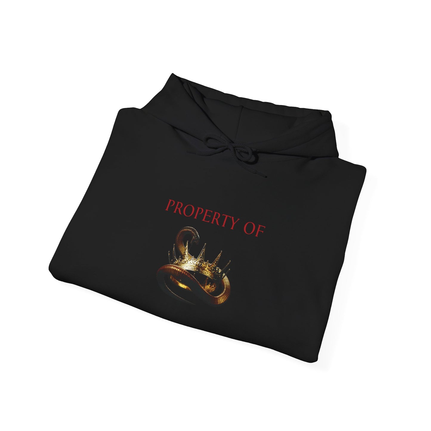 Property of the Kings Aventine University Unisex Hoodie