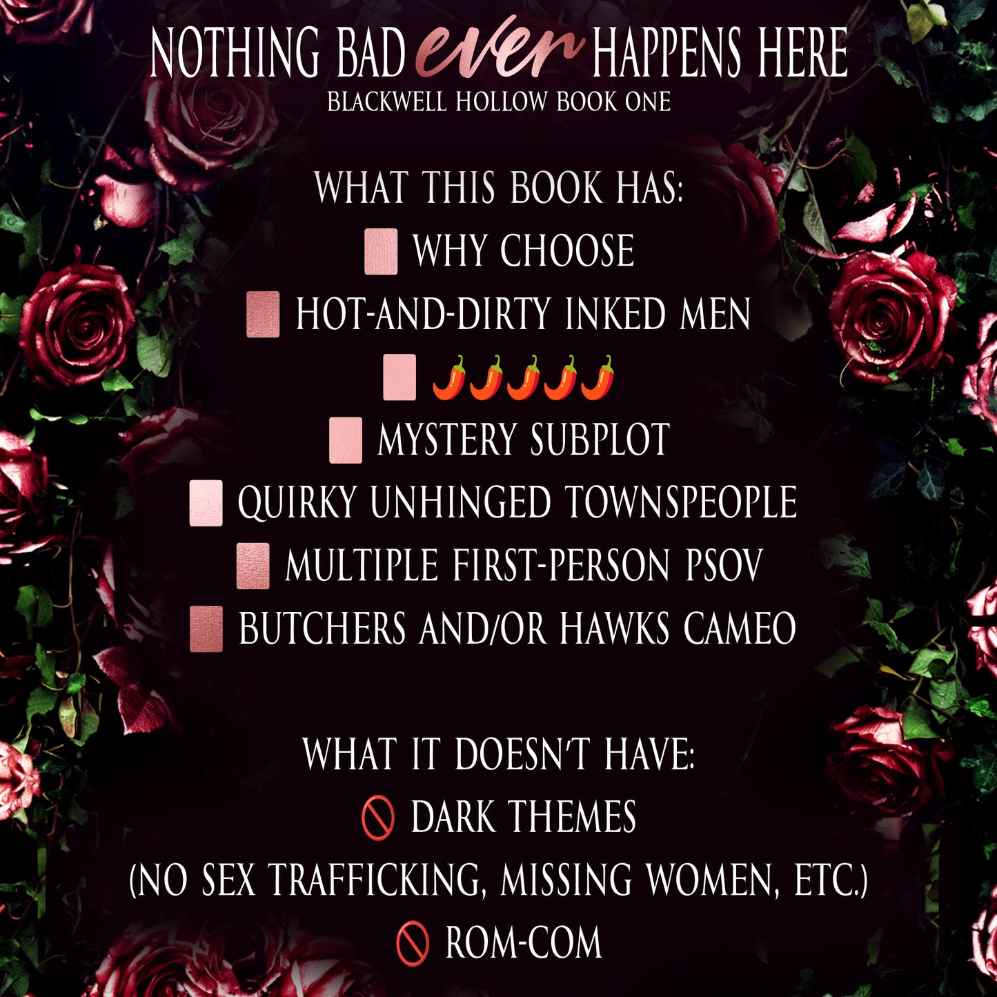 DISCREET Nothing Bad Ever Happens Here (Blackwell Hollow Book 1) - SIGNED DISCREET PAPERBACK